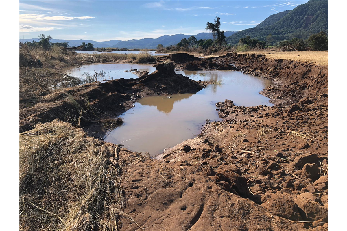 “Terra devastada”, diz produtor de arroz após as enchentes